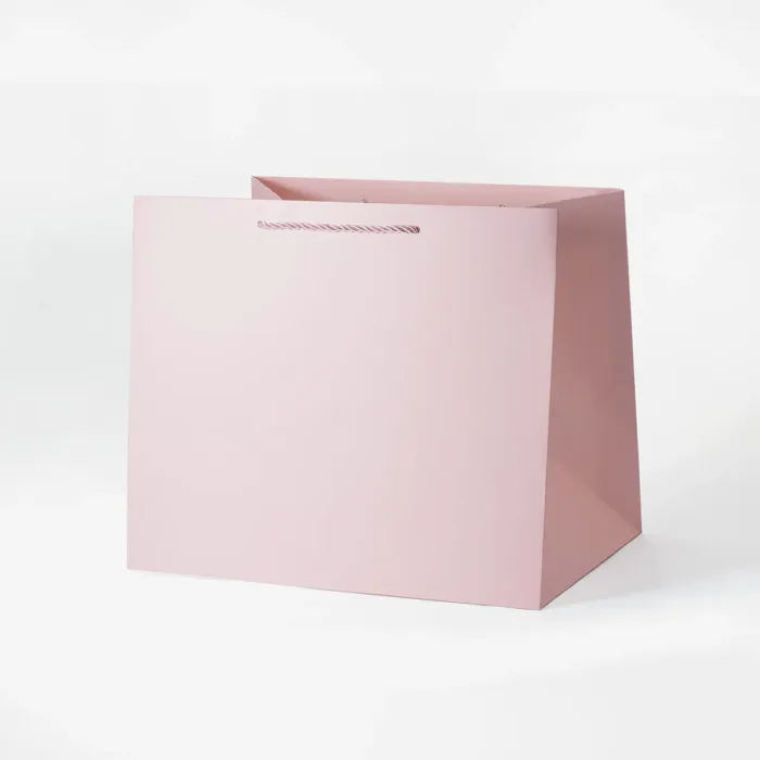A4 Deep Pink Gift Bag