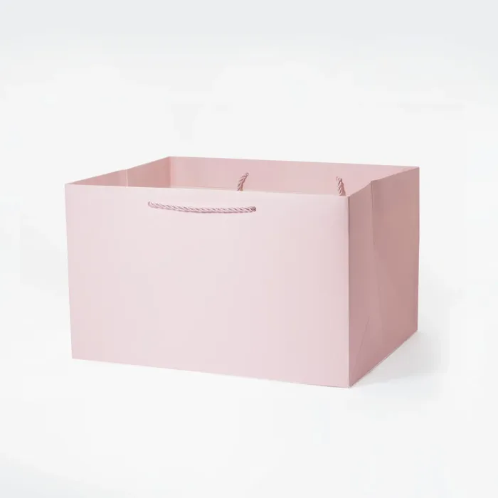 A4 Shallow Pink Gift Bag - Image 2