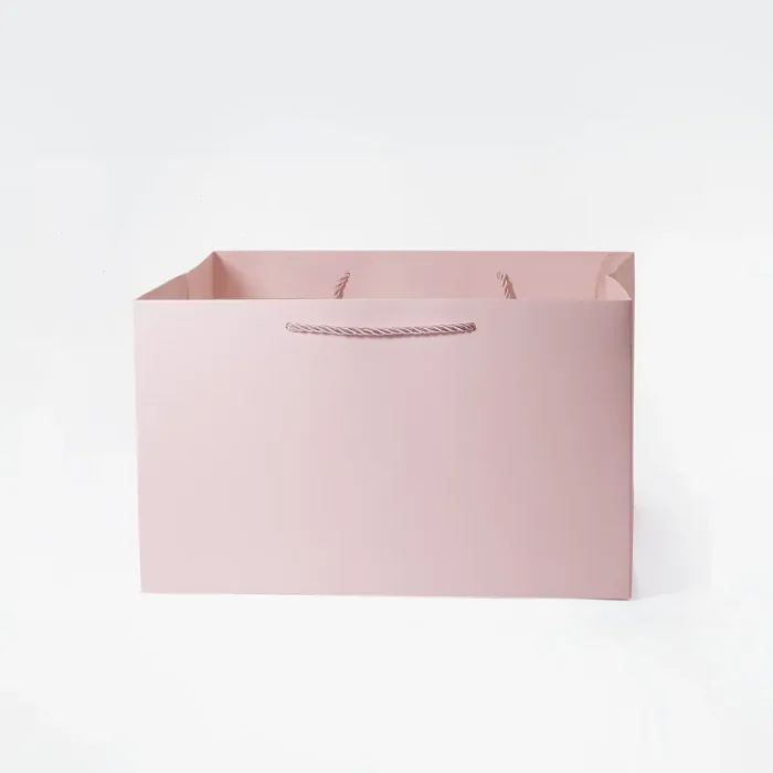 A4 Shallow Pink Gift Bag - Image 3