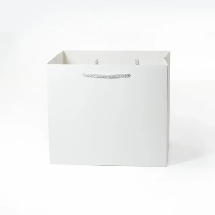 B6 Deep White Gift Bag - Image 2