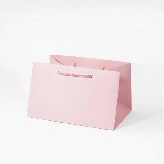 B6 Pink Gift Bag