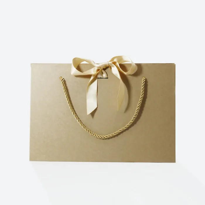 Large Kraft Triangle Shaped Gift Bag with Ribbon and Handle - Image 3