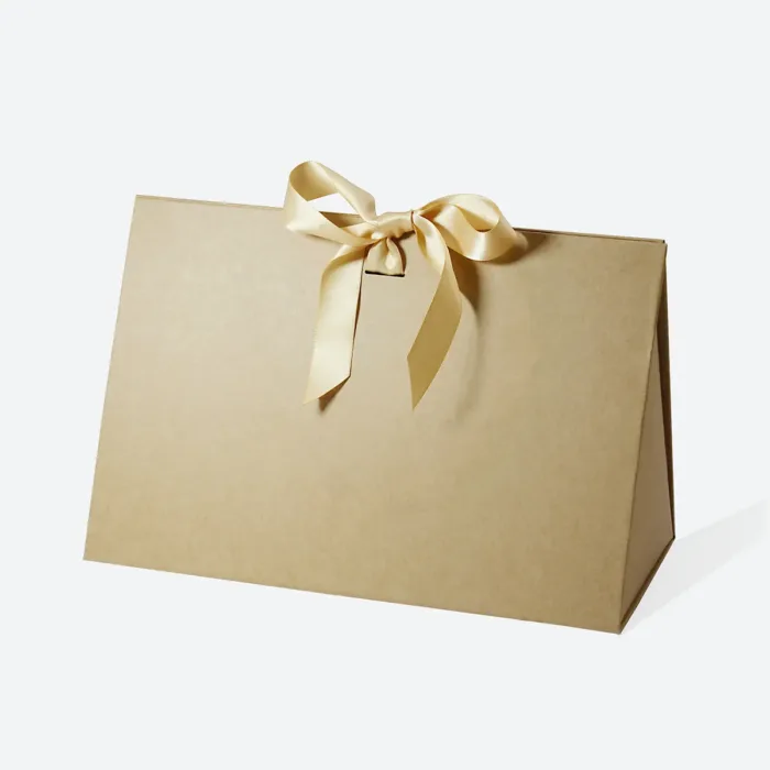 Large Kraft Triangle Shaped Gift Bag with Ribbon
