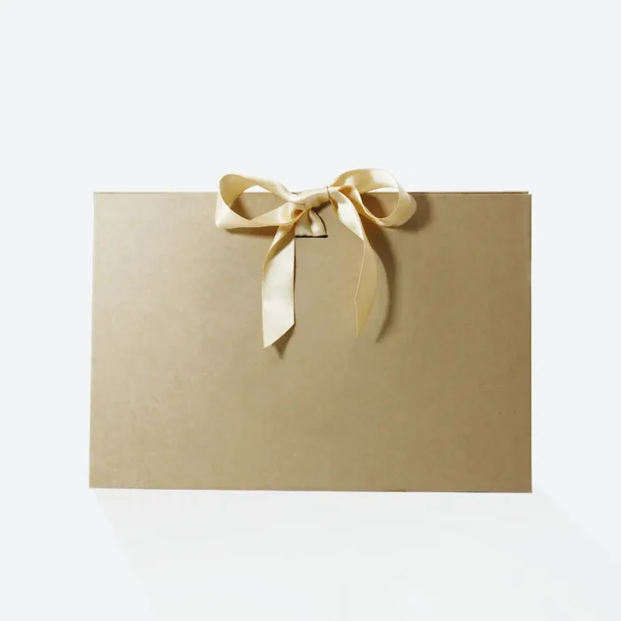 Large Kraft Triangle Shaped Gift Bag with Ribbon - Image 6