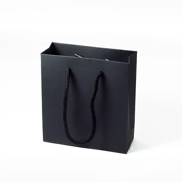 Small Black Paper Gift Bag with Handle