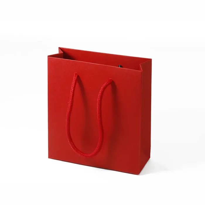 Small Red Paper Gift Bag with Handle