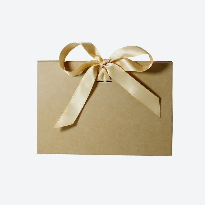 Small Kraft Triangle Shaped Gift Bag with Ribbon - Image 3