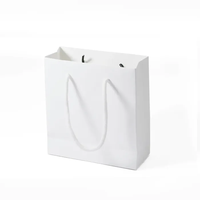 Small White Paper Gift Bag with Handle