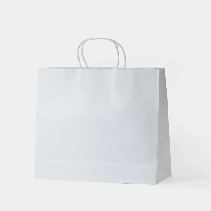 Large Landscape Kraft Shopping Bag - Image 4