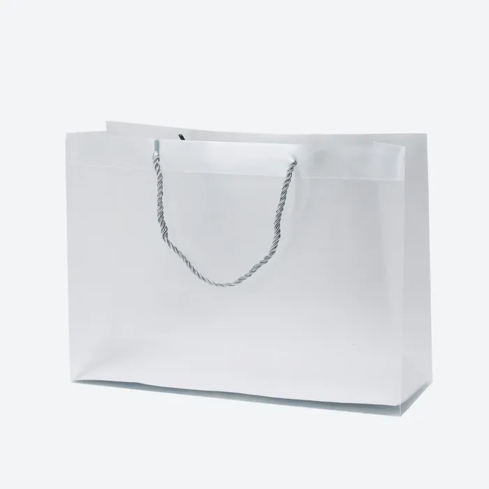 Large Plastic Bag