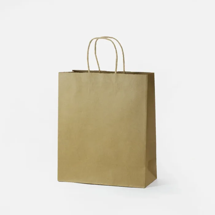 Large Portrait Kraft Shopping Bag