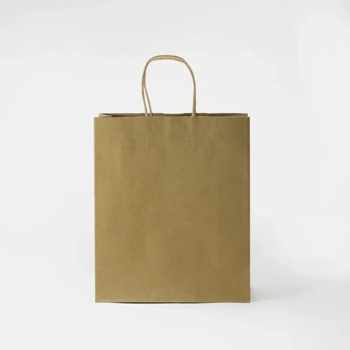 Large Portrait Kraft Shopping Bag - Image 2