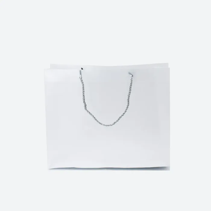 MA Plastic Bag - Image 2