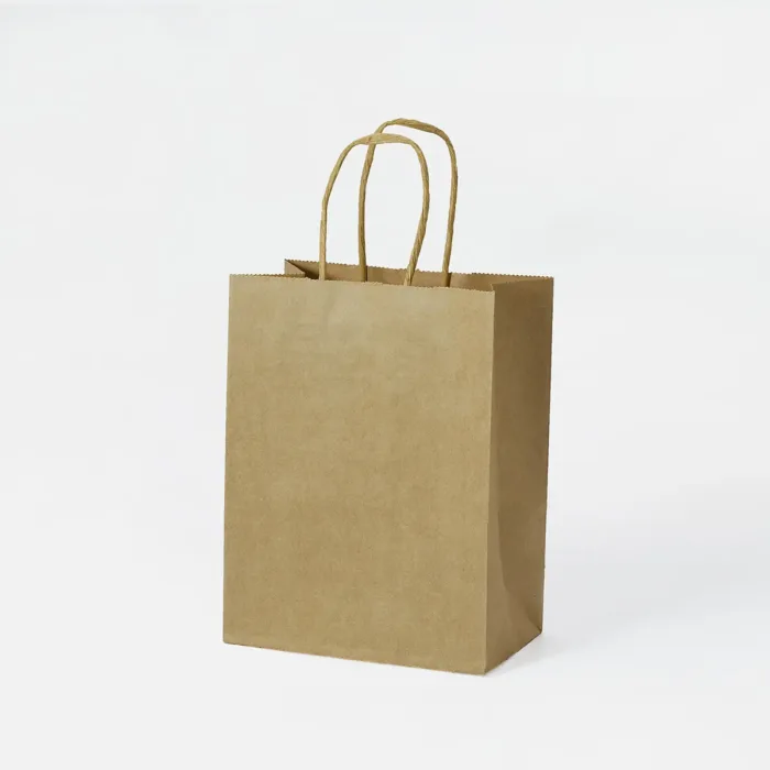 Medium Kraft Shopping Bag