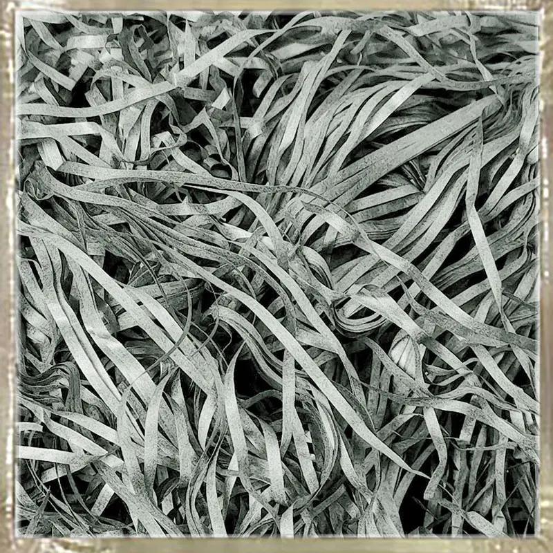 Shredded Paper Filler - Image 5