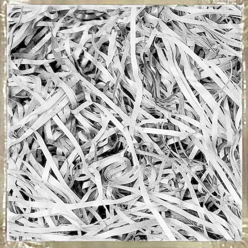 Shredded Paper Filler - Image 13