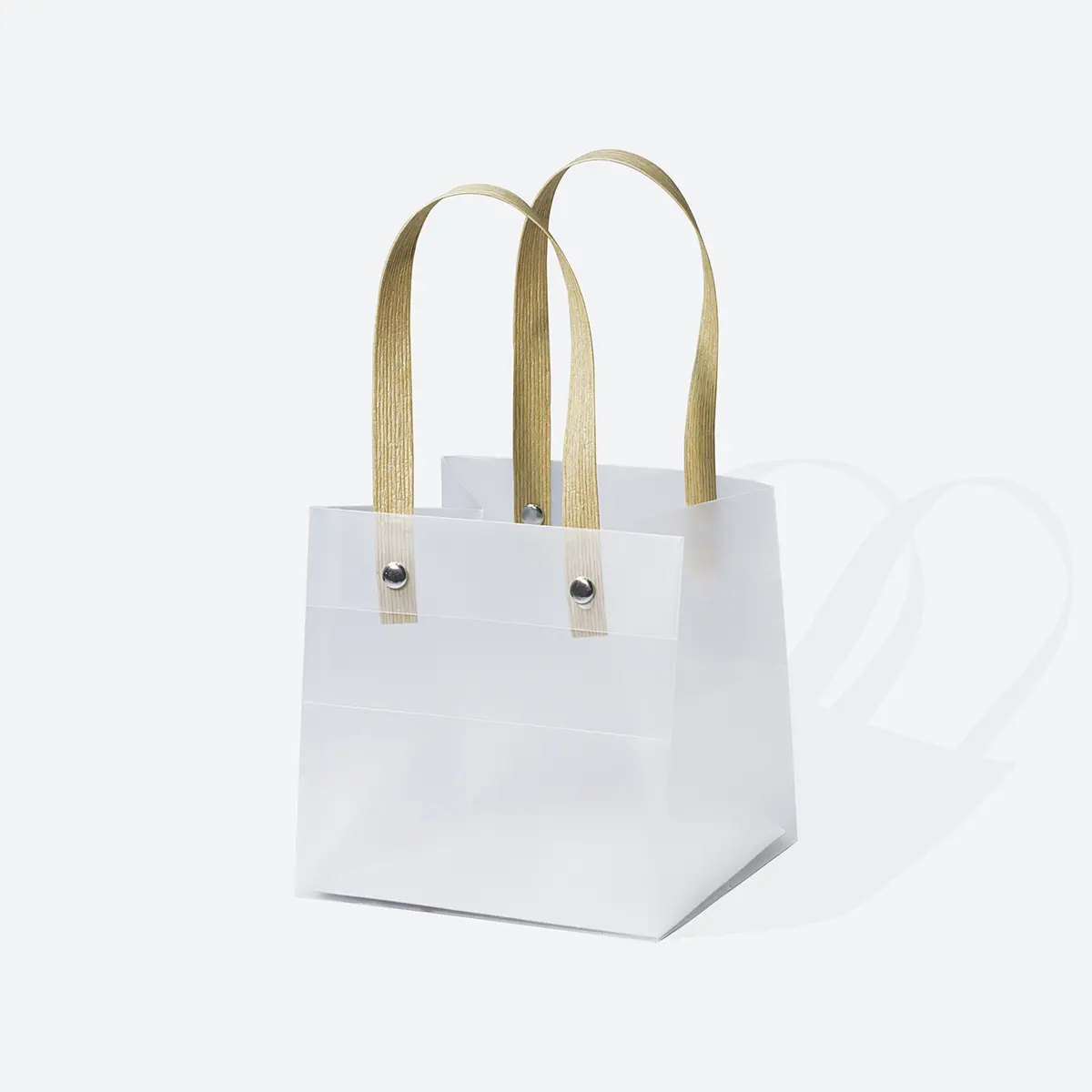 Rigid Frosted Cube Tote Bag